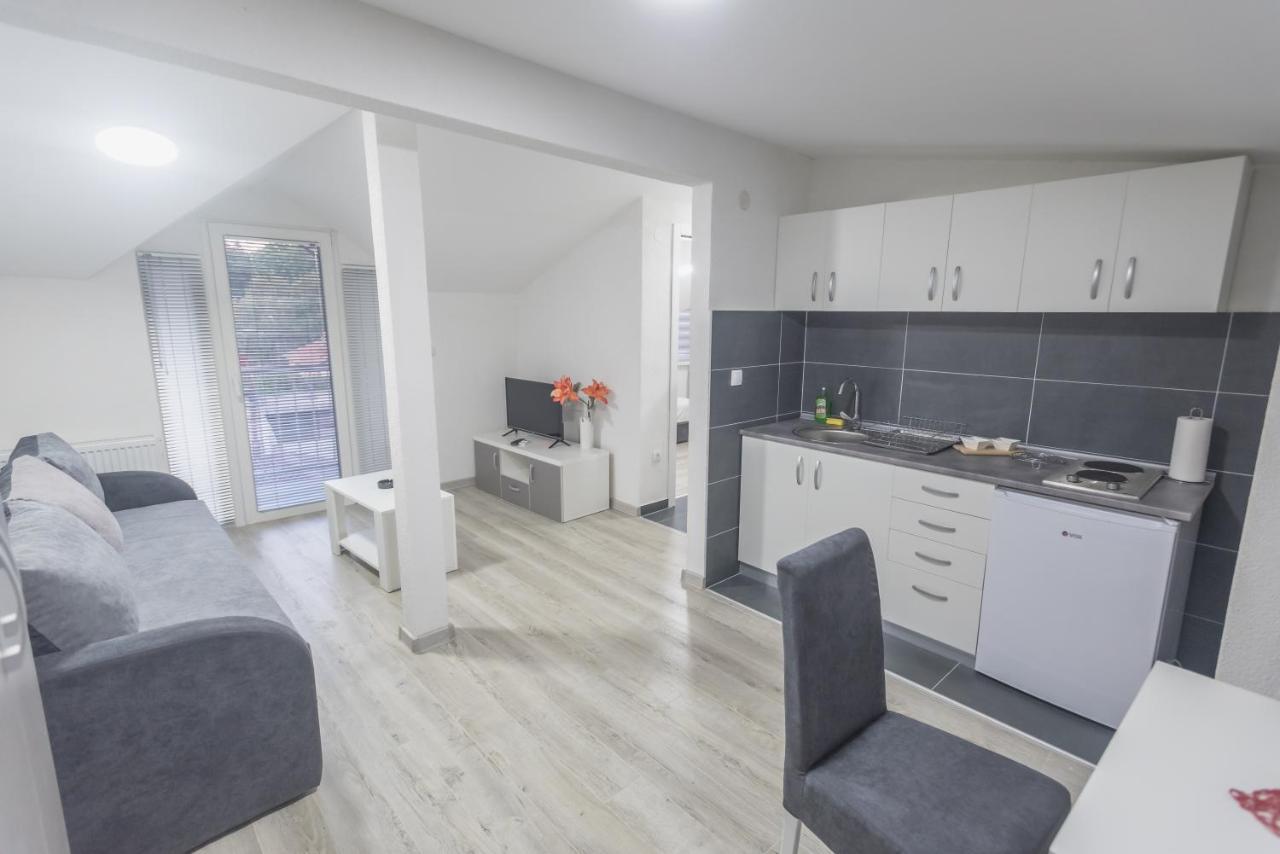 Apartmani Centar ロズニツァ エクステリア 写真